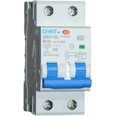 Residual Current Operated Circuit Breakers, 2 Pole C curve, Type A, RCBO's - NB310L